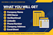 generate highly targeted b2b leads with CEO emails and addresses