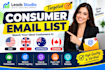 build targeted consumer email lists for USA UK australia and canada