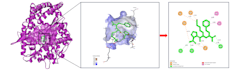 perform molecular docking and protein ligand interaction analysis