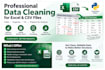 clean and organize your excel or CSV data using python
