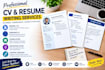 create a professional content writer