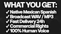 record warm inspiring mexican spanish documentary voice over