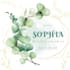 design custom event invitations, bridal shower card, and wedding logo