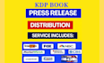 create an amazing book press release, do online book press release distribution