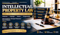 provide intellectual property document review and consultation
