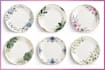 create ceramic dinner set, plate decal, and crockery designs