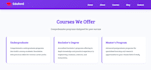 made a luxury portfolio website