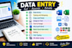 do data entry typing copy paste image to text and word excel