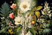 illustrate best botanical illustration