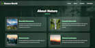 web development latest four pages