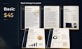 write a professional business plan for startup or visa