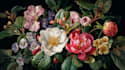 draw exquisite botanical illustrations with organic details