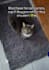 make creative and engaging pet ugc content with my cats