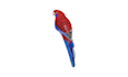 do professional pet embroidery digitizing