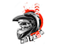 make a professional bike helmet business logo