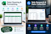 do excel data entry and websearch