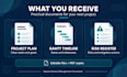 create your project plan, timeline and risk register