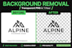 remove background and fix logo in 1 hour