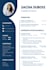 create a  professional CV resume design in canva