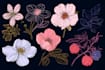 do custom a fruits botanical illustration