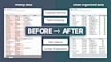 clean organize and import your CRM data