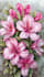 draw botanical illustrations of flowers