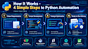 write python scripts for automation, web scraping, and api