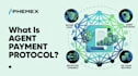 develop ai agent payment gateway, stablecoin payment processor, crypto processor