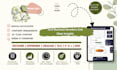 create an automated monthly bookkeeping template