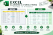 format, clean and organize your excel spreadsheet professionally