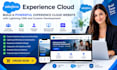 build salesforce cloud website with lightning cms and custom development