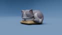 create custom 3d printable models and stl files