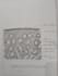 do beautiful handwritten note and custom drawing