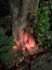 recast a perfect love spell