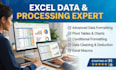 do professional data entry, excel data management and google sheets expert tasks