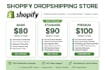 create premium shopify store design