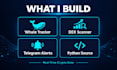 build a crypto whale tracker and dex liquidity scanner in python