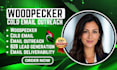 set up woodpecker cold email outreach b2b lead generation and deliverability