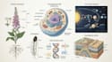 make scientific illustrations for you