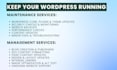 be your monthly wordpress website manager and SEO content expert