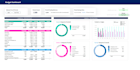 sell you a professional personal budget excel spreadsheet and dashboard
