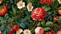 illustrate best botanical illustration