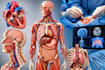 create 3d medical, anatomy, surgery and device animations