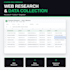 accurate data entry, web research, and excel google sheets