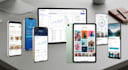 build professional mobile app and website