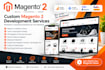 customize magento 2 with API integrations, google tools, payment and shipping