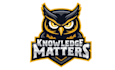 design high quality owl logo with unlimited revision