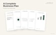 write a professional business plan