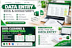 accurate data entry, excel and google sheets work