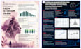 design professional powerpoint and canva presentations